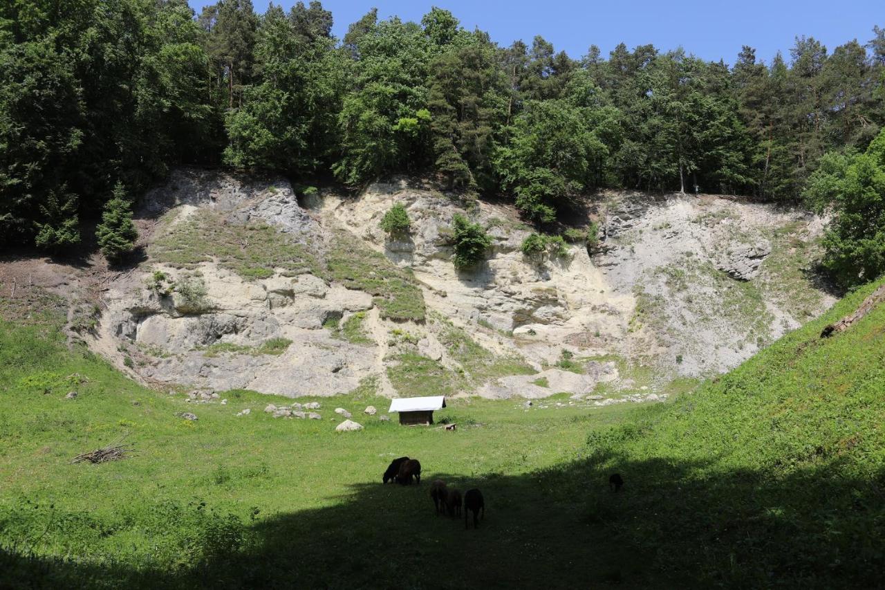 Landgasthof Adler Utzmemmingen Bagian luar foto